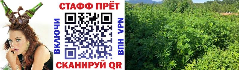 APVP Кунгур
