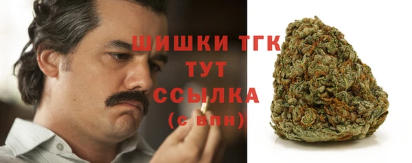 СК Кукмор
