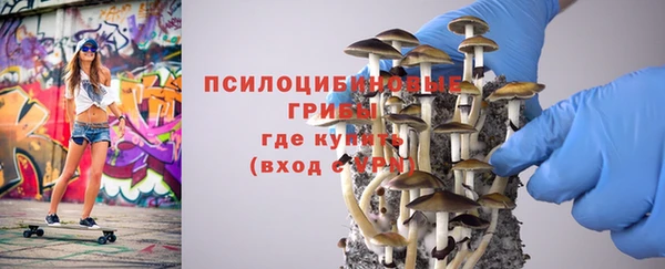 СК Кукмор