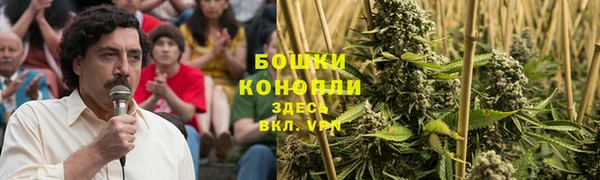 трава Лагань