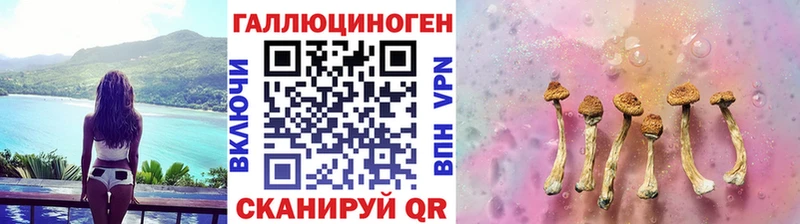 закладка Кунгур Галлюциногенные грибы Psilocybe